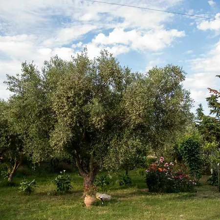 Villa Romano * Ambelokipoi (Zakynthos)