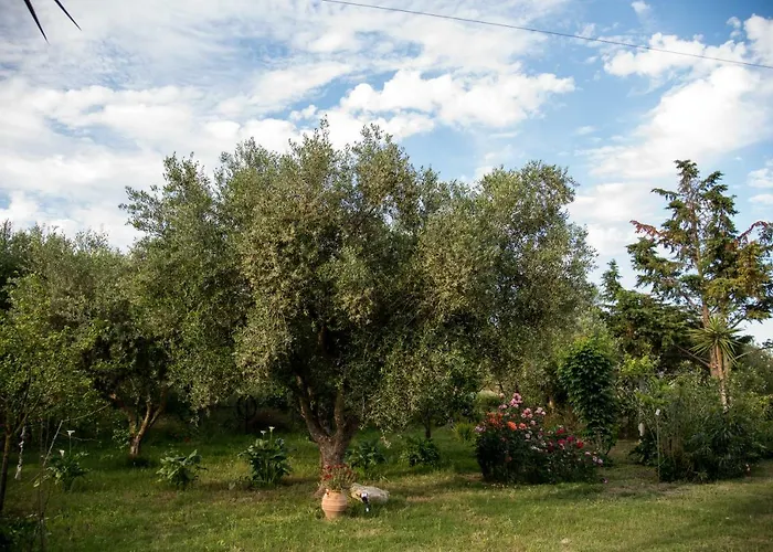 Villa Romano * Ambelokipoi (Zakynthos)
